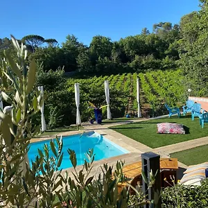 La Vie Est Belle En Provence Tourves