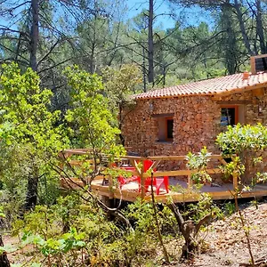 Des Pachous Lodge