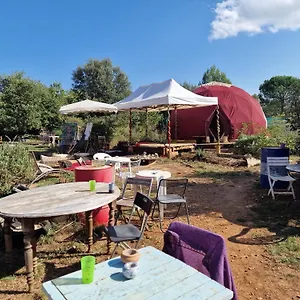 Jolie Caravane A Sivana Oasis De Lumiere Camping